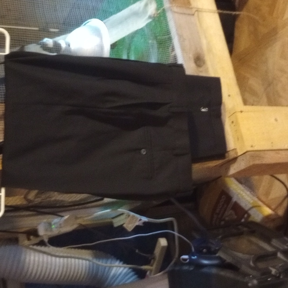 Men's dress pants